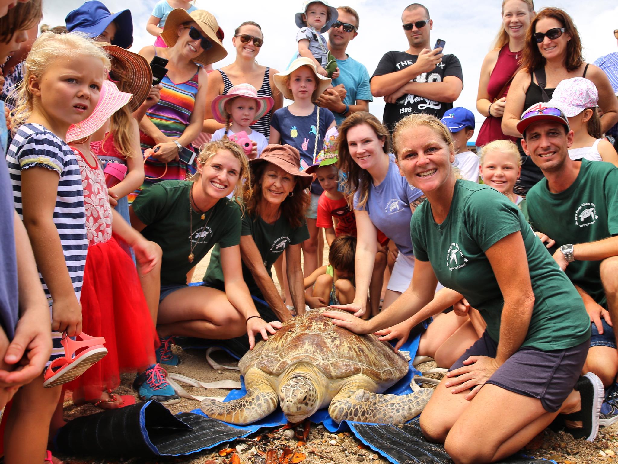 Turtle Rescue | Eco Barge Clean Seas Inc.