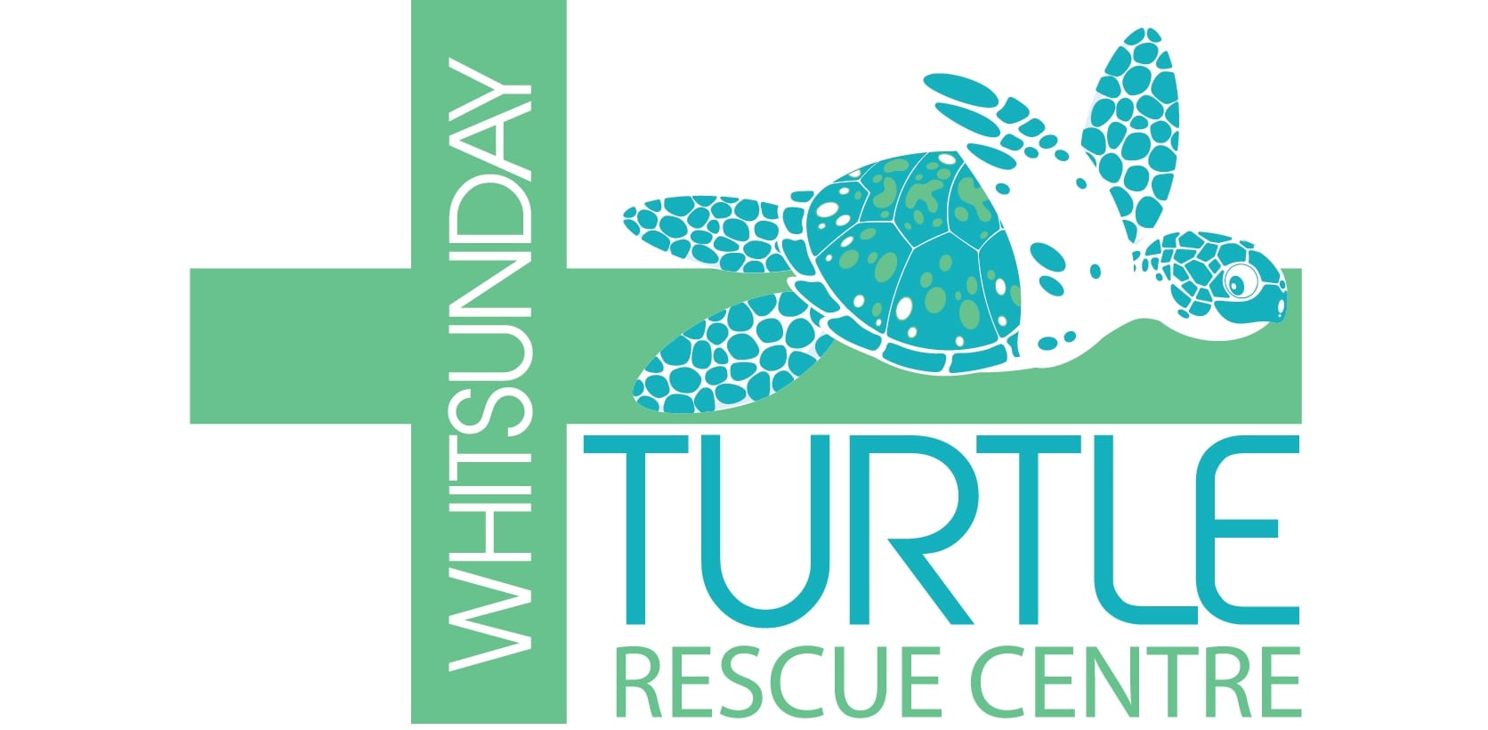 friends turtle rescue