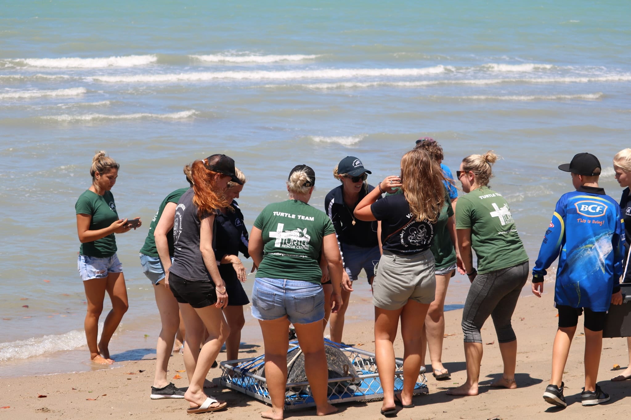 Triple Turtle Release